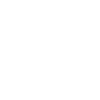 feature-item-1